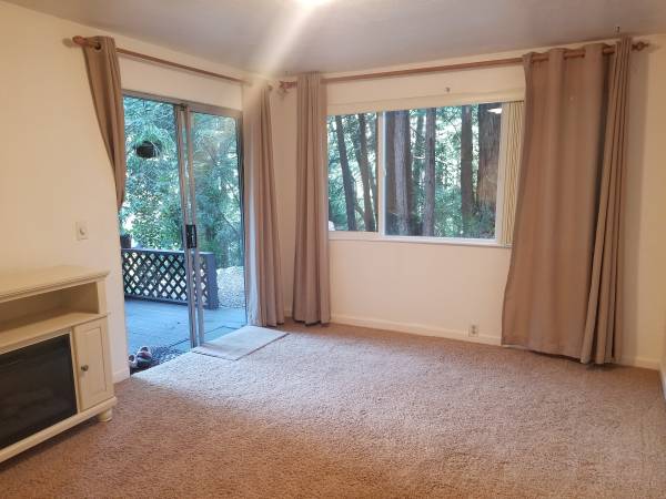 1BR/1BA Apartment · Felton photo 2