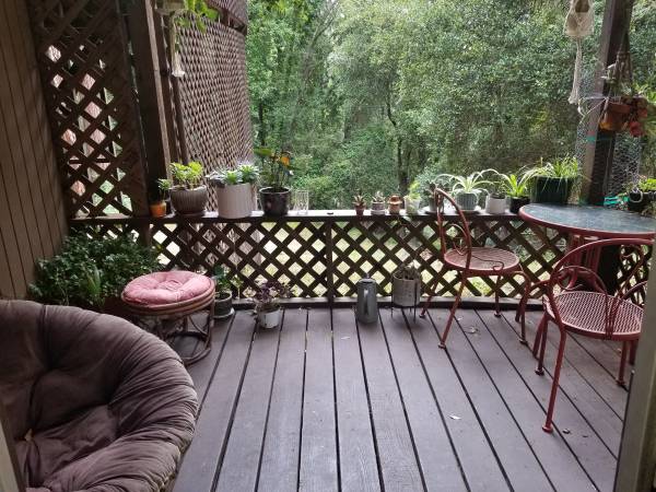 1BR/1BA Apartment · Felton photo 3