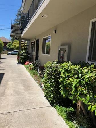 2BR/1BA Apartment on Mcgee Ave. Apt G · Berkeley photo 3
