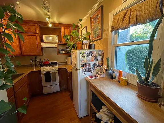 1BR/1BA Apartment · Berkeley photo 4