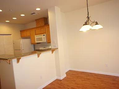 1BR/1BA Condo on Maguire Way · Dublin photo 2