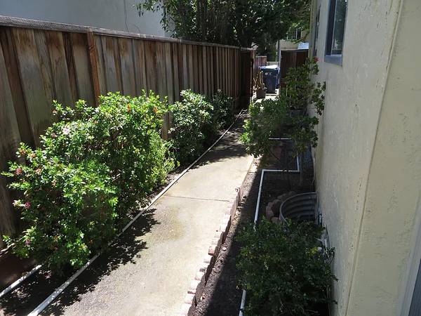 433 Vasquez Ct Sunnyvale, CA 94086 photo 5