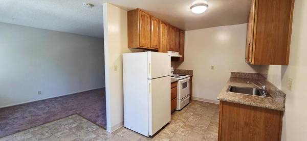 1BR/1BA Apartment · San Leandro photo 2