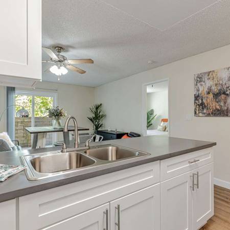 1BR/1BA Apartment · San Francisco photo 2