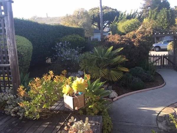 3BR/2BA Single Family House on Santa Cruz St · Santa Cruz photo 3