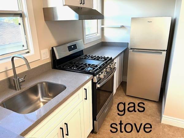 1BR/1BA Apartment · Brooklyn photo 5