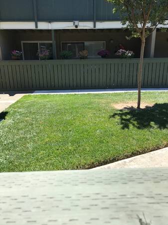 Apartments on Fremont Blvd. · Fremont photo 3