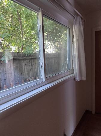 1BR/1BA Apartment on Miller Ave · Mill Valley photo 5