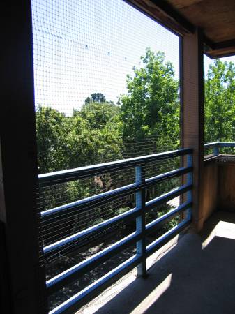 Castlewood Apartments photo 2