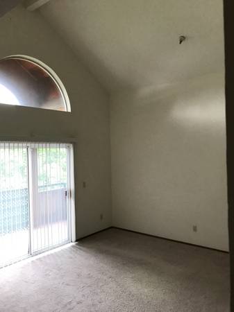 Castlewood Apartments photo 3