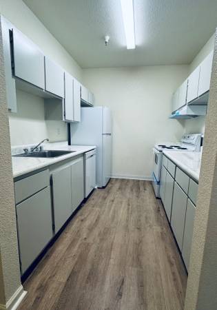 Apartments on E Reed Street · San Jose photo 4