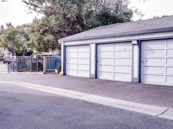 2BR/2BA Apartment on E Taylor Ave Unit F · Sunnyvale photo 4