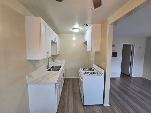 1BR/1BA Apartment on Winchester Ave · Staten Island photo 2