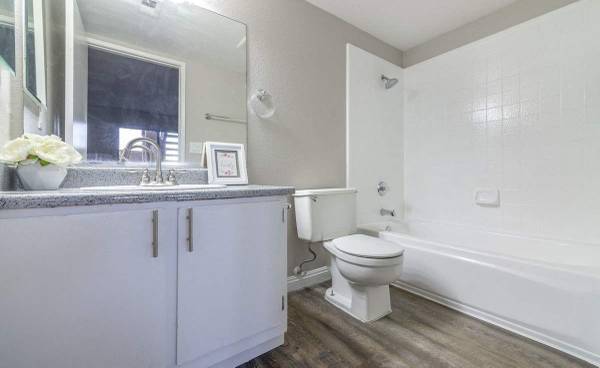 1BR/1BA Apartment · San Francisco photo 2