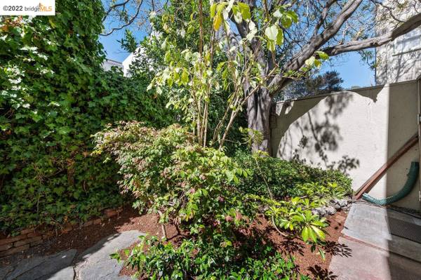 1BR/1BA Condo on Cedar St · Berkeley