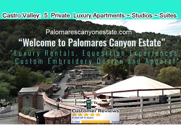 1BR/1BA Apartment · Hayward photo 3