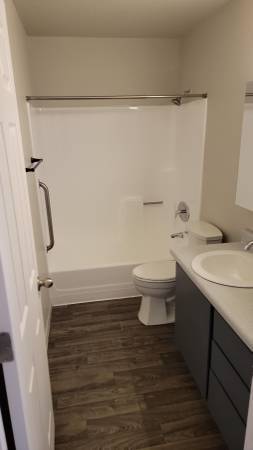 1BR/1BA Apartment · San Carlos photo 3