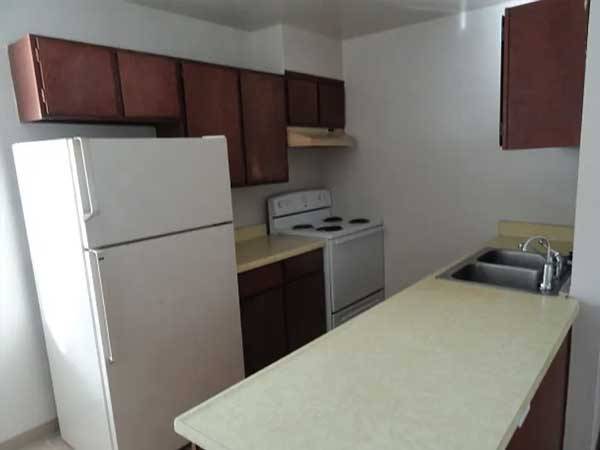 1BR/1BA Apartment · Berkeley photo 3
