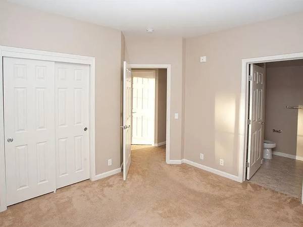 1BR/1BA Apartment · Brooklyn photo 3