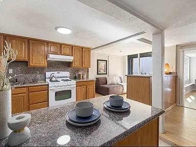 1BR/1BA Apartment · San Francisco photo 4