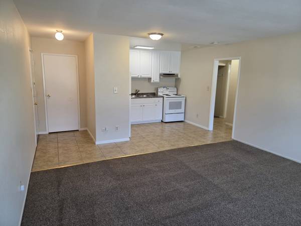1BR/1BA Apartment · Flushing photo 3