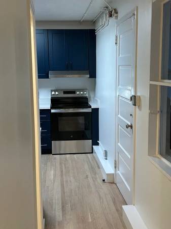 1BR/1BA Apartment · Jamaica photo 4