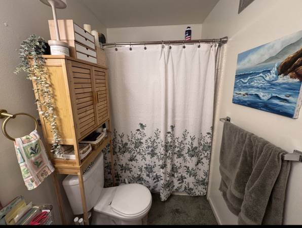 1BR/1BA Apartment · Sunnyvale photo 2