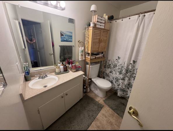 1BR/1BA Apartment · Sunnyvale photo 3