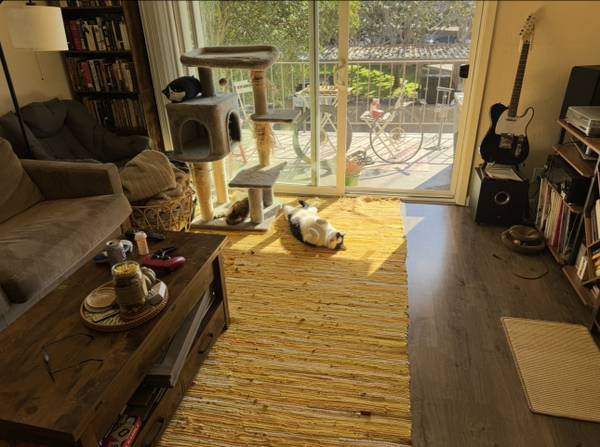 1BR/1BA Apartment · Sunnyvale photo 4