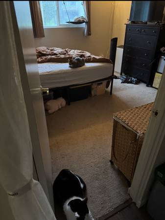 1BR/1BA Apartment · Sunnyvale photo 5