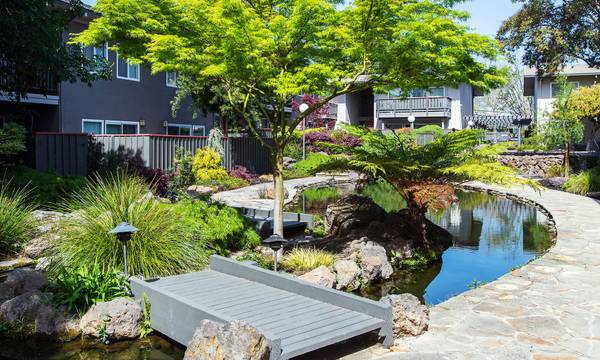 Park Orchard photo 3