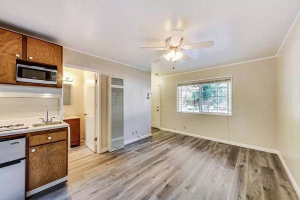 0BR/1BA Apartment on La Honda Road Unit · La Honda photo 2