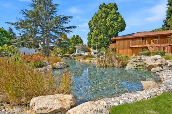 Apartments on Springlake Drive · San Lorenzo photo 2