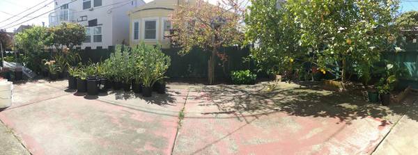 2BR/1BA In-Law · San Francisco photo 3