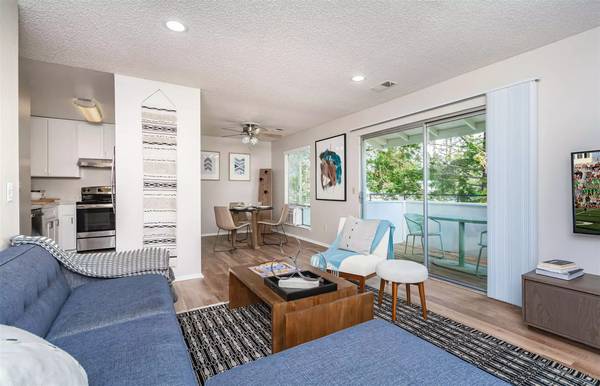 The Grove Luxury Apartments photo 5