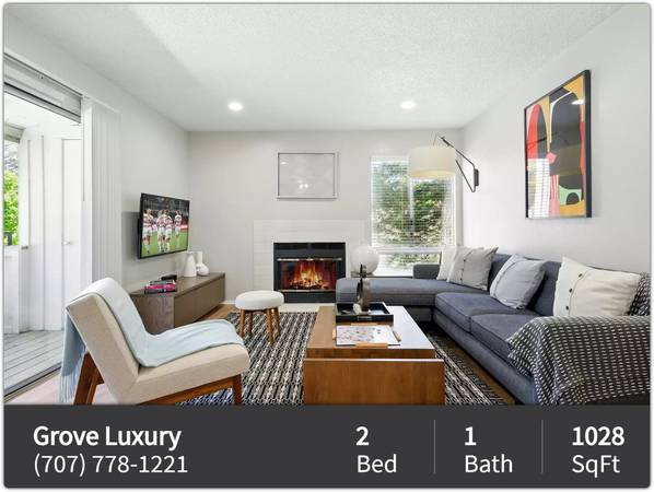 The Grove Luxury Apartments photo 2