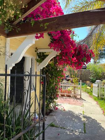 1BR/1BA Apartment · Santa Cruz photo 2