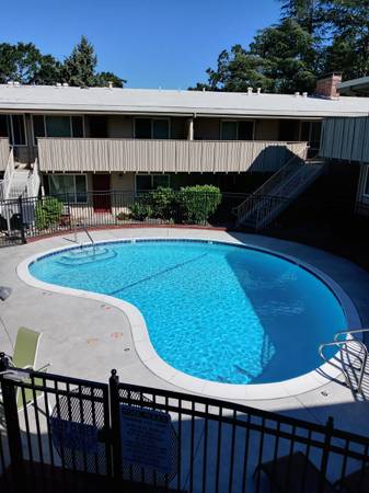 Ming Tree Apartments photo 4