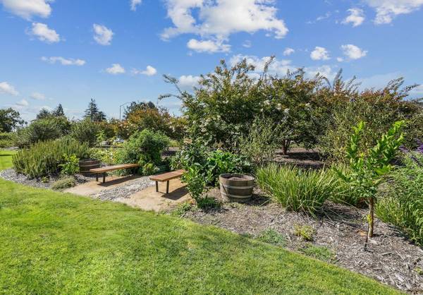 Apartments on Soscol Avenue · Napa photo 3