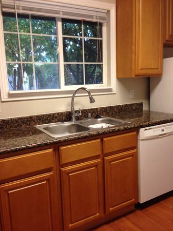 1BR/1BA Apartment · San Jose photo 3