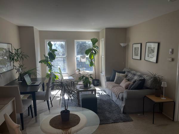 1BR/1BA Condo · San Francisco photo 3