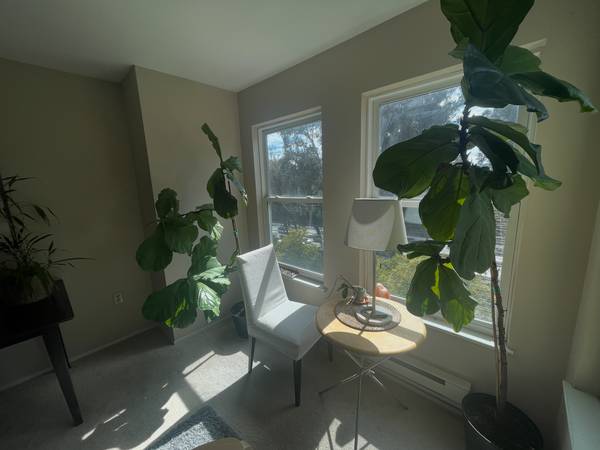 1BR/1BA Condo · San Francisco photo 2