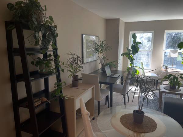 1BR/1BA Condo · San Francisco photo 5