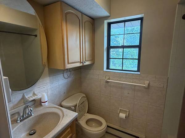1BR/1BA Apartment · New York photo 4