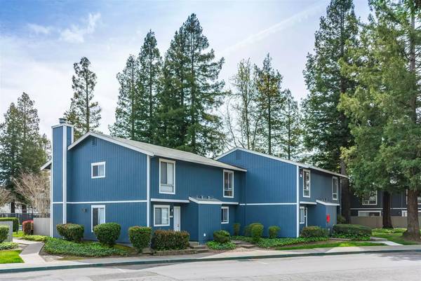 Gorgeous Studio ~ Convenient Location In East Petaluma ~ Reverse Osmosis Water photo 2