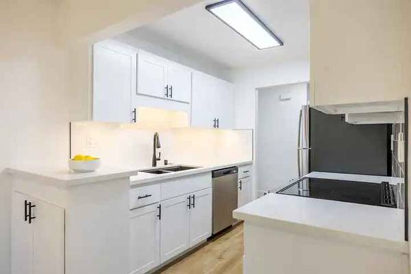 Summerwood Apartments photo 5