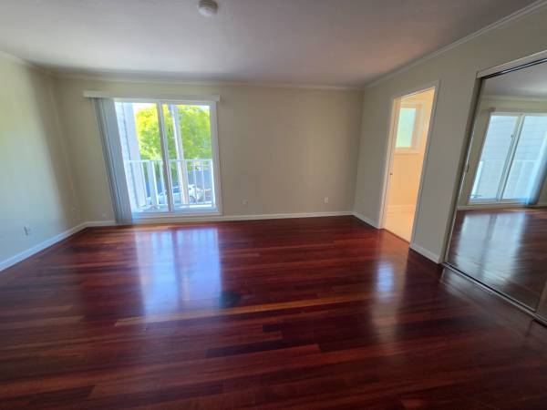 Apartments on Jefferson Ave · Brooklyn photo 5