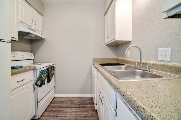 1BR/1BA Apartment on S Lombard Ave · Oak Park photo 2