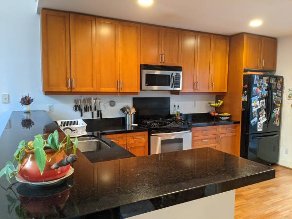 1BR/2BA Apartment · San Francisco photo 3