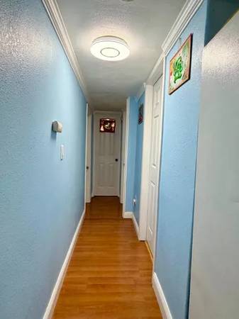 1BR/1BA Apartment · San Jose photo 4